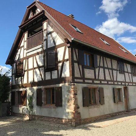 Paisible Logement Tout Equipe Pour 1 A 6 Personnes Ebersheim Екстериор снимка